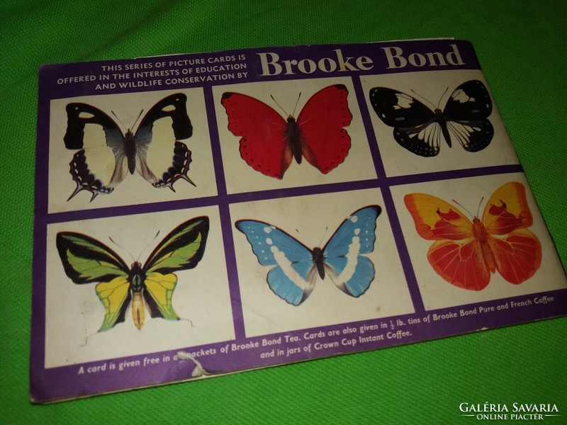 1970. Broke Bond tea képes mellékletének matricás gyűjtő albuma Pillangók, lepkék a képek szerint
