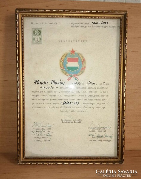 High school certificate of mushroom knowledge 1977. In a glazed picture frame 23*32 cm