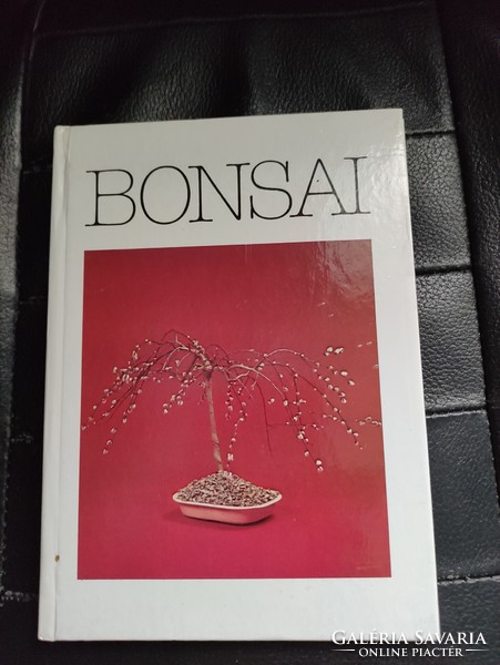 Bonsai-Bíró Lajos-Japán kert művészet -Bonszáj.