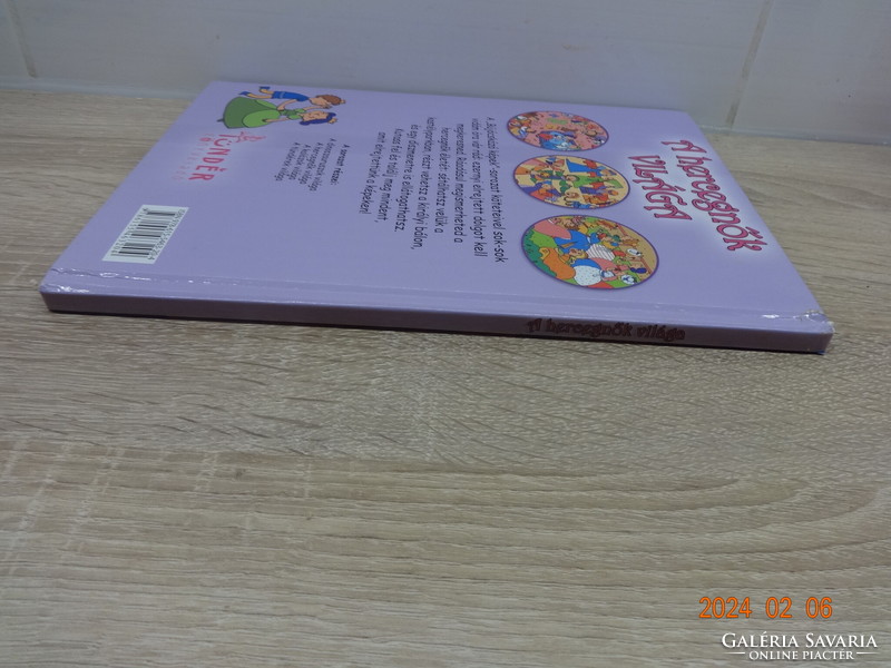 The world of princesses - hide and seek pictures - engaging book for little girls