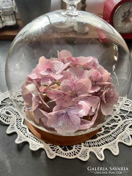 Nagyobb méretű rózsafogós gömb üveg búra, sajtbúra, dekoráció fa talpon