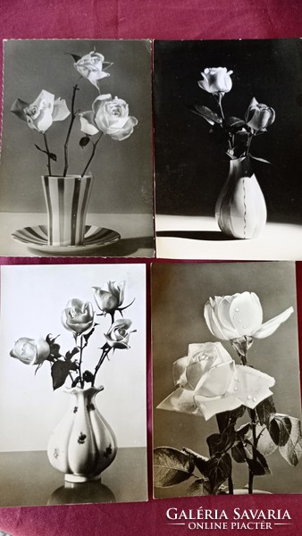 1960-1963. Rózsát ábrázoló, fekete- fehér képeslapok