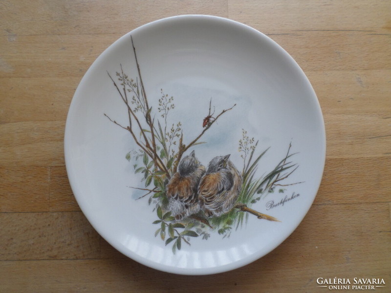 Vohenstrauss Bavarian porcelain bird plate 19.5 cm