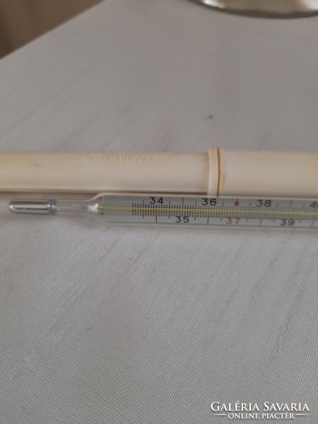 Retro mercury thermometer