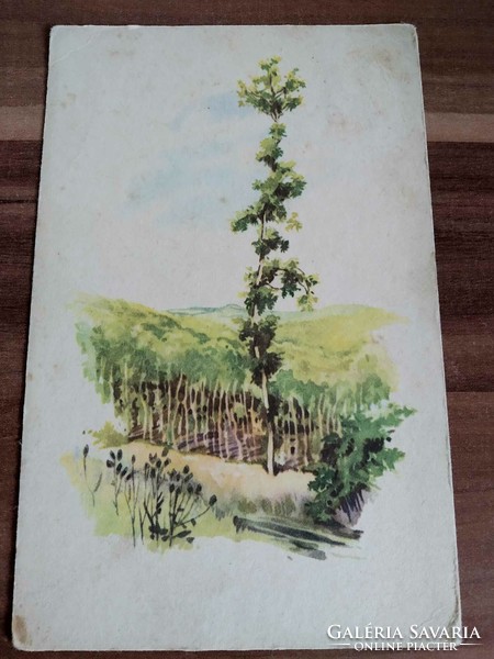 Katalin Benedek: postcard after landscape, watercolor, from 1953
