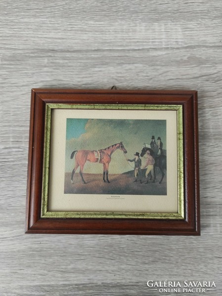 Eleanor lovas kép