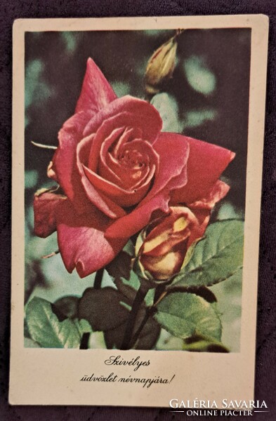 Old floral postcard 9 (m4715)
