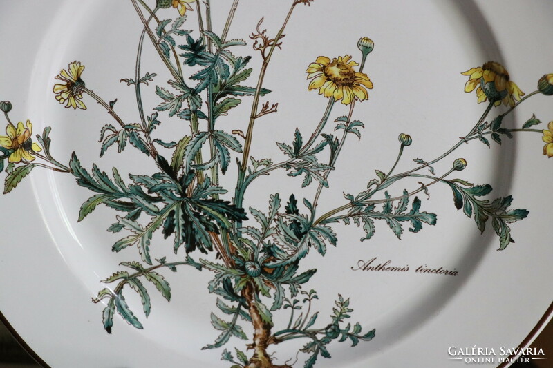 Villeroy Botanica lapos  tányér