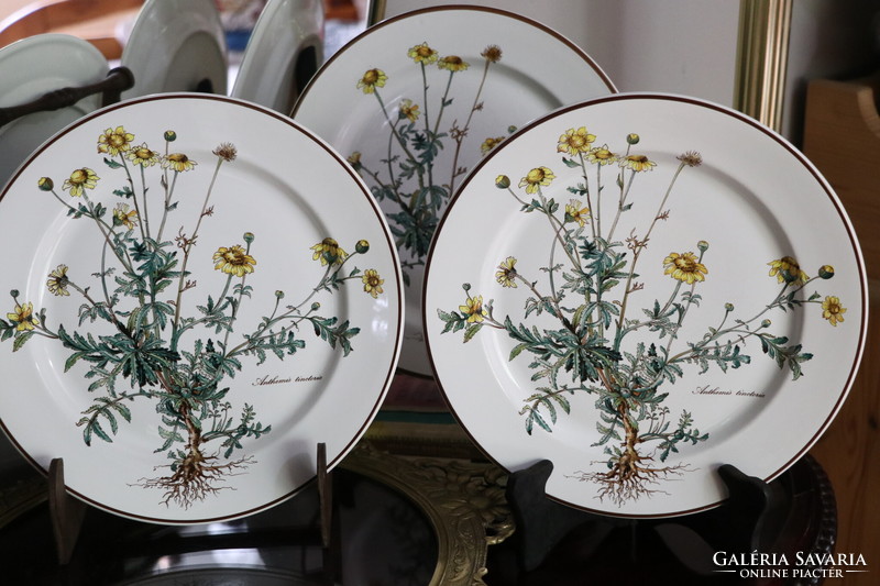 Villeroy Botanica lapos  tányér