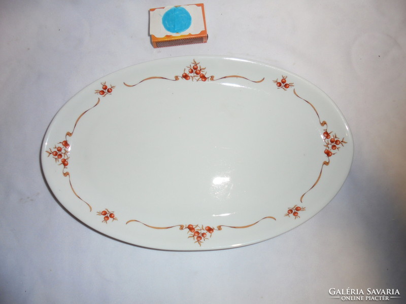Alföldi porcelain oval bowl with rosehip pattern