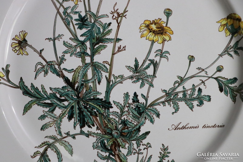 Villeroy Botanica lapos  tányér