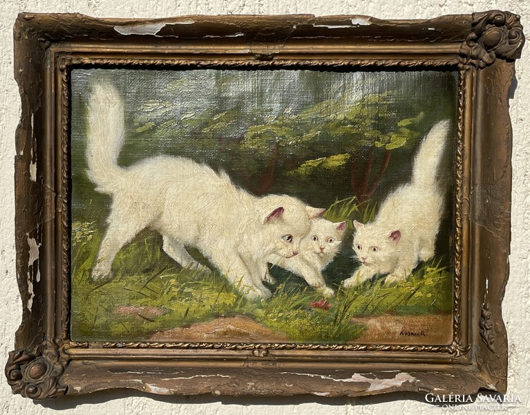 Fehér perzsa cicák és a szöcske esete - Kozman Richárd 1920 körül