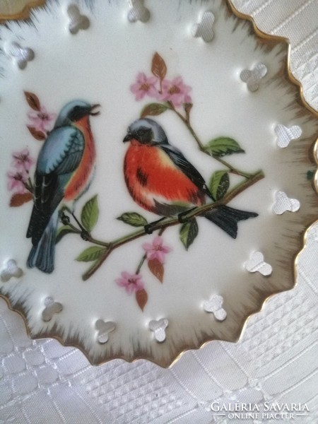 Bird plate is wonderful