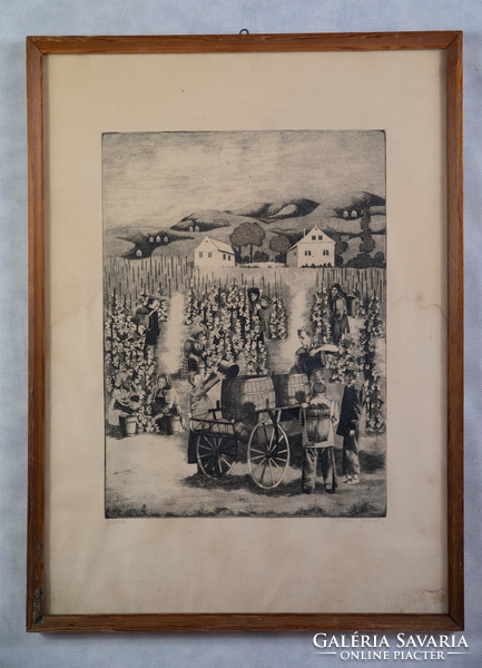 Molnár Gabriella (1940-): Szüret. Rézkarc, papír, jelzett, fa keretben, 39x30 cm