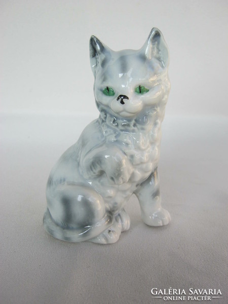 Porcelain cat tabby kitten