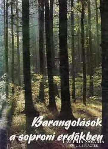 Barangolások ​a soproni erdőkben