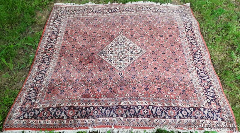 200X200 cm. Persian carpet / bijhar - Iran.