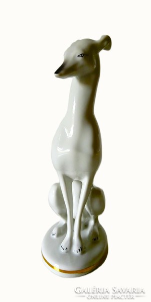 Fenséges Whippet/ agár porcelán figura, Iris Cluj
