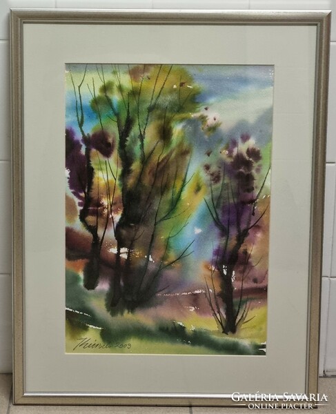 Kis Béla: Erdő (akvarell-papír 60x40 cm keretezett)