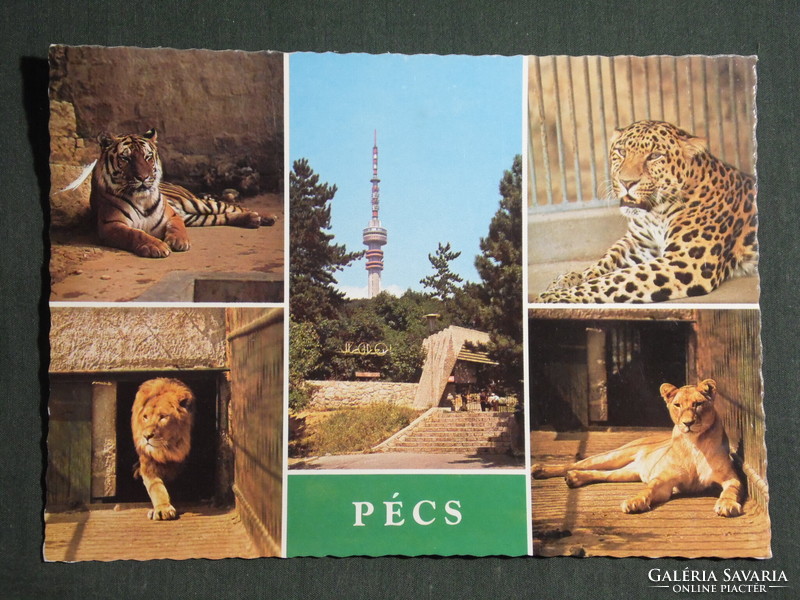 Képeslap,Pécs,mozaik,Mecsek ZOO állatkert,oroszlán,tigris látkép,részletek, 1982-