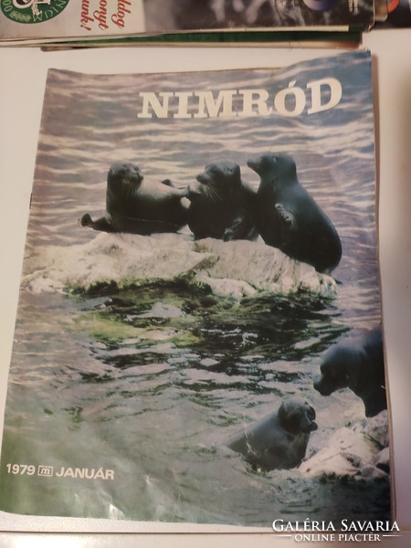 Nimród 6 db folyóirat,vadászújság