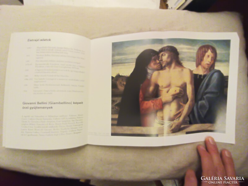 Hans Belting, Giovanni Bellini: Piéta
