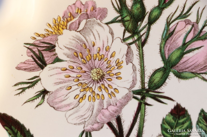 Portmeirion Botanic Garden kutyarózsás sütőtál