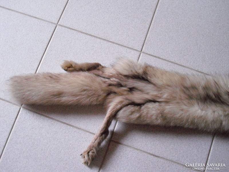 Ezüst róka - egész