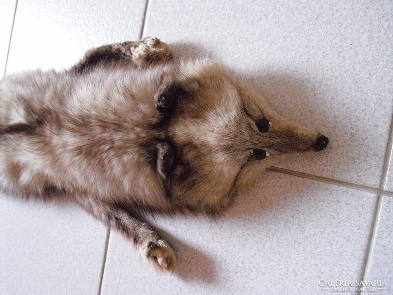 Ezüst róka - egész