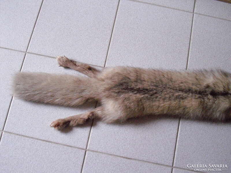 Ezüst róka - egész