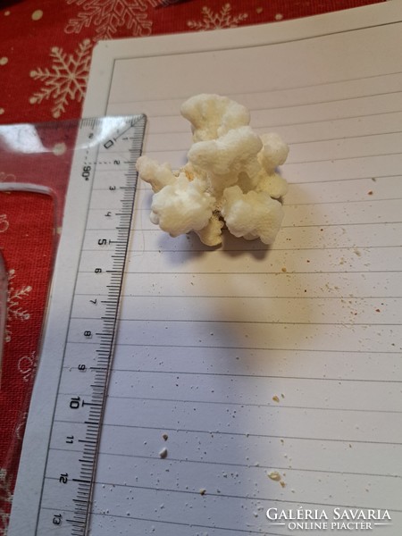 Eredeti fehér korall  6cm tökeletes darab!!  Indonezia/ Dél- kínai tenger