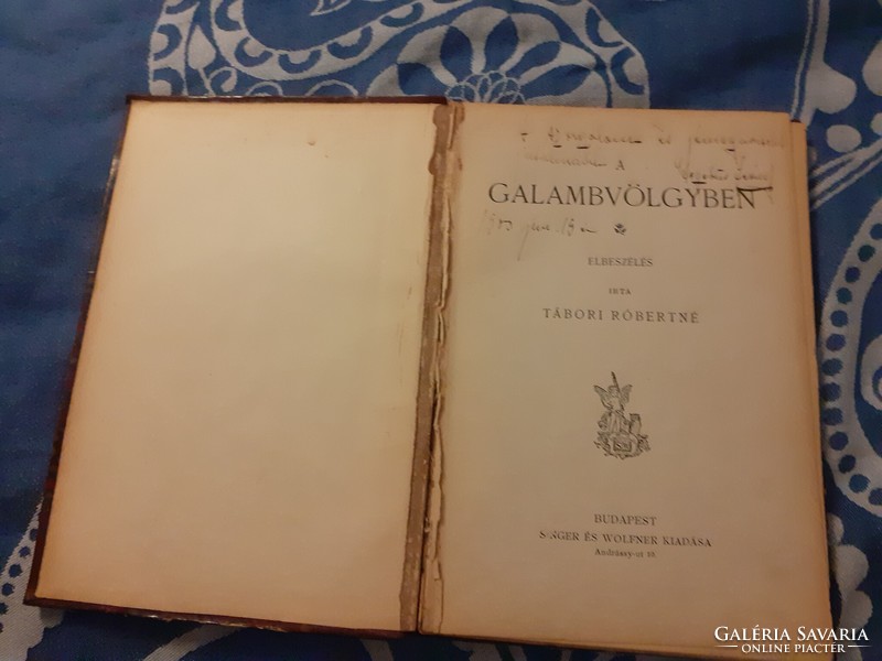 1898 Tábori Róbertné (Tutsek Anna) A galambvölgyben