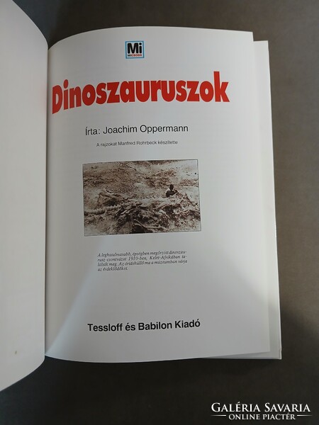 Mi-Micsoda - Dinoszauruszok 29. - 1995
