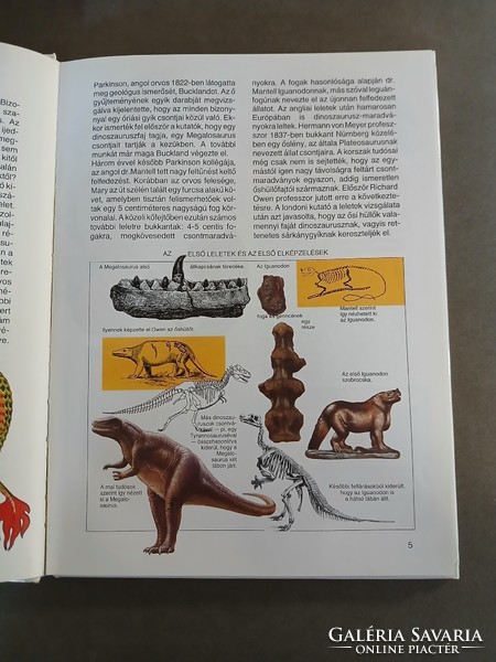 Mi-Micsoda - Dinoszauruszok 29. - 1995
