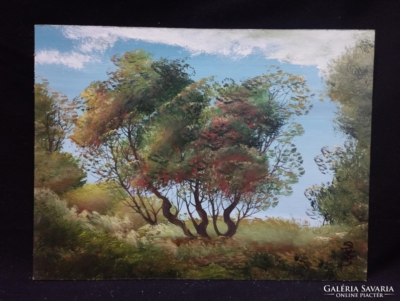 Szécsi Katalin - Akácok olaj, farost festmény 30 x 40 cm