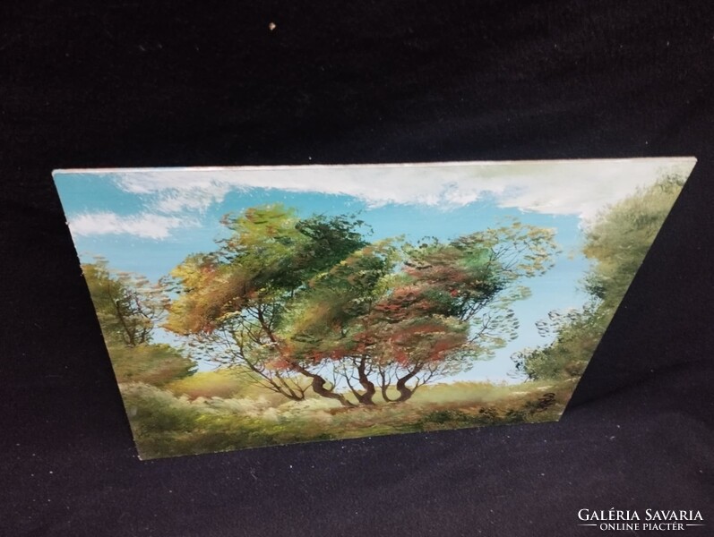 Szécsi Katalin - Akácok olaj, farost festmény 30 x 40 cm