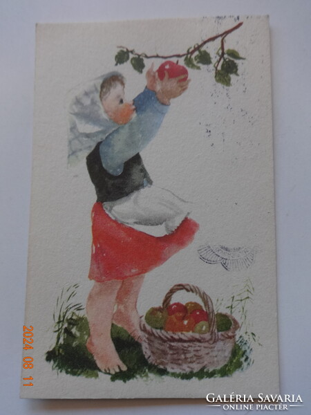 Régi grafikus üdvözlő képeslap, almát szedő kislány  Demjén Zsuzsa rajz