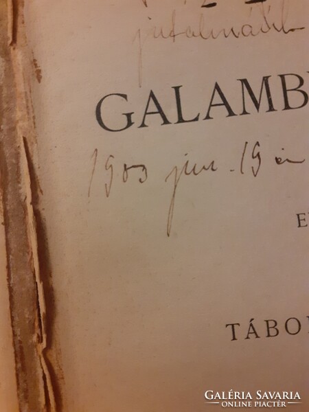 1898 Tábori Róbertné (Tutsek Anna) A galambvölgyben