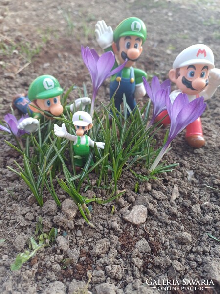 Márió és luigi