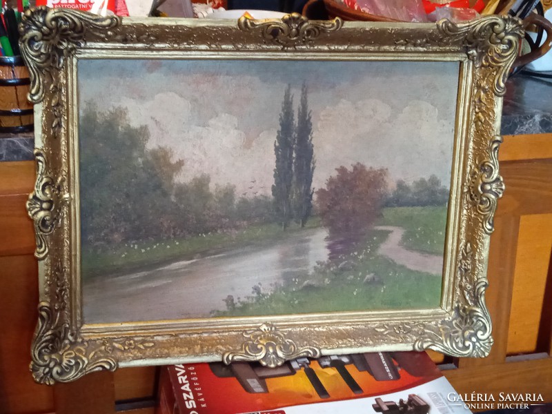Tájkép,festmény 46x62cm Püspöky M szignó