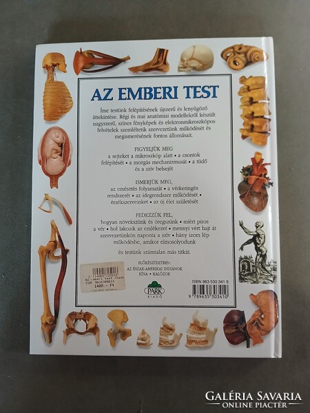 Steve Parker - Szemtanú - Az emberi test,1996