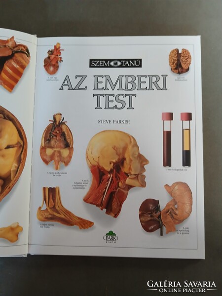 Steve Parker - Szemtanú - Az emberi test,1996