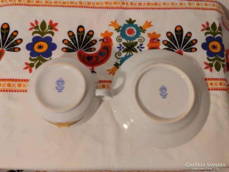 Alföldi nárcisz mintás porcelán teás csésze