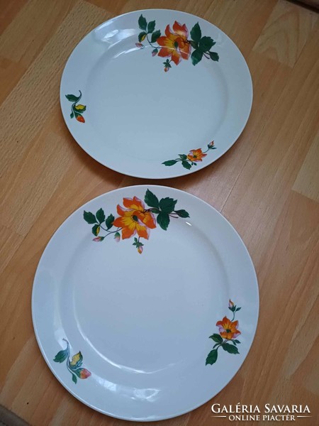 Régi nagy virágos zsolnay tányérpár  23.5 cm