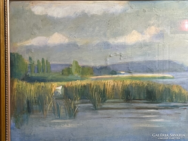 Tunyogi Szűcs Sándor - Balaton..
