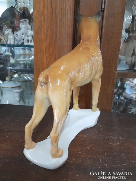 Német,Germany Volkstedt Karl ENS Nagy Méretű Boxer Kutya Porcelán Figura.21.5 cm