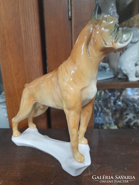 Német,Germany Volkstedt Karl ENS Nagy Méretű Boxer Kutya Porcelán Figura.21.5 cm