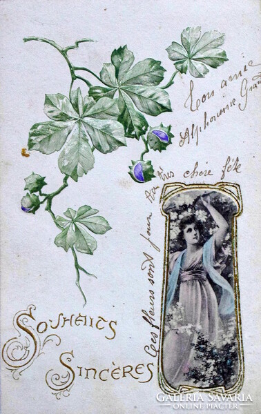 Antik szecessziós dombornyomott képeslap  - vadgesztenye