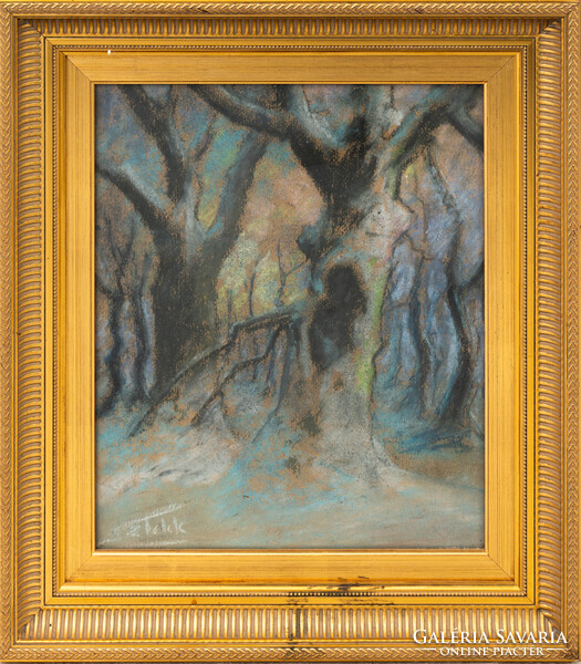 Norbert SZTELEK (1884-1956): Nagybánya