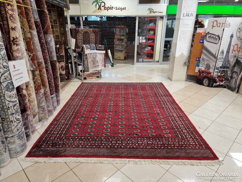 Újszerű pakisztáni bokhara-tekke 250x350 kézi gyapjú perzsa szőnyeg. KP02